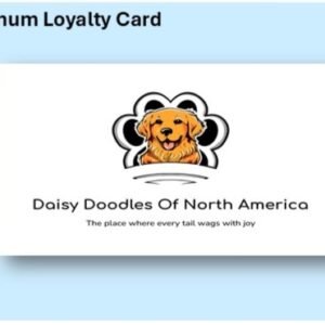 Platinum Loyalty Subscription