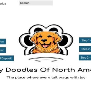 Litter 1 - Female Golden Doodle - Puppy One