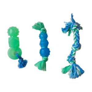 Petstages Dog Toy Mini Dentachew, Assorted, 1 Each