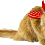 Play On Halloween Dog/Cat Costume, Devil Set, Extra-Small/Small