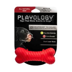 Playology Dual Layer Bone, Beef, Medium