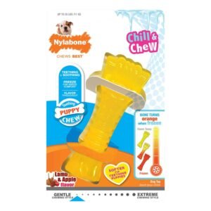 Nylabone Puppy Chew Freezer Bone Mini Souper