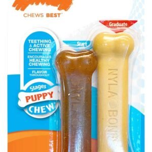 Nylabone Puppy Twin Pack, Petite - Peanut Butter Nylon & Puppy Chew