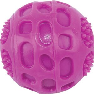 Play On Dog Toy TPR Ball Assorted