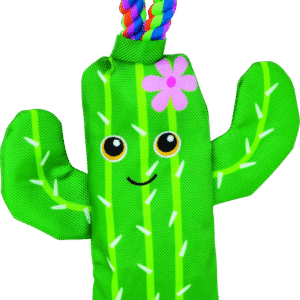 Play On Dog Toy Tough Cactus with Rope