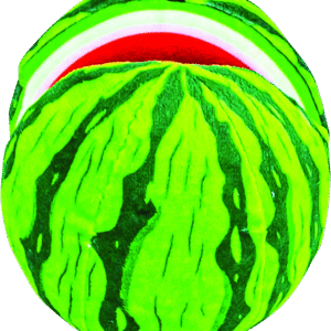 Play On Dog Toy Plush Watermelon with Tennis Ball