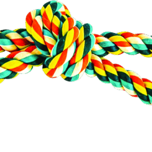 Play On Dog Toy Wishbone Rope with 2 Tennis Balls